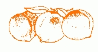 NPC-Peach3a